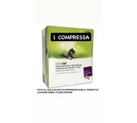 DRON-TAL 1 COMPRESSA CANE SCONFEZIONATO (IN BLISTER)