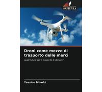 Droni come mezzo di trasporto delle merci: quale futuro per il trasporto di domani?