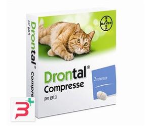 DRONTAL*2CPR GATTO