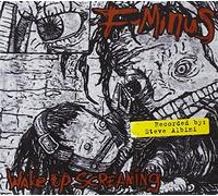 dropkick murphys - wake up screaming