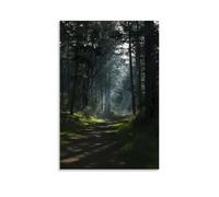 DRU I WQBRBH Poster artistico da parete estetico per soggiorno e camera da letto, stampa decorativa della foresta oscura, 20 x 30 cm, senza cornice