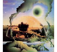 Druid Toward the Sun 12" Album Coloured Vinyl (PRESALE 24/04/2026)