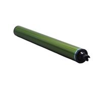 Drum OPC compatibile per il cilindro Longlife OEM funziona con DC 240 242 250 252 260 C6550 WorkCentre 7655 7665 7675 7755 7765 Sostituzione della cartuccia del toner nero(Color Drum)