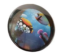 Drum Sano Educativo - Kids Percussion Toy, Wave Rhythm Musical Kit | Tamburo Di Perline Riutilizzabili, Stimolatore Del Rumore Metallico, Strumento Musicale Prescolare, Strumento Di Gioco Uditiv