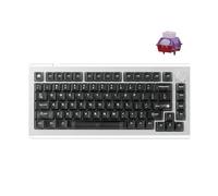 DrunkDeer Tastiera A75 Master Rapid Trigger Keyboard, tastiera da gioco Esports, interruttore magnetico, azionamento regolabile - RT Plus - RT Match, 8K Hz, 0,01 mm, design 75% - ANSI, argento
