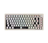DrunkDeer Tastiera meccanica A75 a scatto rapido, tastiera con interruttore magnetico, TKL RGB Wired USB Compact 82 tasti con manopola, grigio Barebone