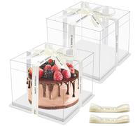 Druuzyl 2 Pezzi Scatola Torta Trasparente 24x24x18cm - Doppio Strato con Base e Nastro, Regalo Plastica per Dolci da Forno, Coperchio Ermetico per Trasporto Torte
