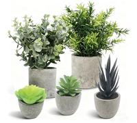 Druuzyl Set di 5 Piante Finte da Interno in Vaso Piccole Mini Piante Artificiali In Vaso Eucalipto e Sansevieria Piccole in Plastica, Decorazione Casa Piante Finte per Ufficio Camera Soggiorni