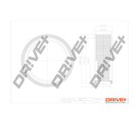 Drve+ DP1110.10.0015 Filtro Aria Per DACIA, LEXUS, RENAULT