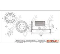 Drve+ DP1110.10.0742 Filtro aria per NISSAN