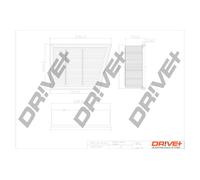 Drve+ DP1110.10.0771 Filtro aria per FORD