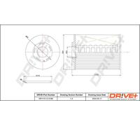 Drve+ DP1110.13.0166 Filtro carburante per CITROËN,PEUGEOT