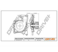 Drve+ DP2310.10.119 Pompa dell’acqua, raffreddamento motore per DACIA,INFINITI,