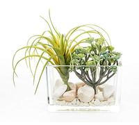 DRW Centro di Fiori con Acqua Solida con Piante Grasse in Cristallo e Sintetico in Verde 22cm