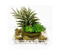 DRW Centro di fiori con acqua solida, con succulente in vetro e sintetico verde 19 x 19 cm