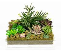 DRW Centro di fiori con acqua solida, con succulente in vetro e sintetico verde 24 x 24 cm