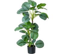 DRW Pianta artificiale calathea orbifolia in PU con 3 tronchi in verde 20x20x90 cm