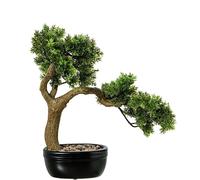 DRW Pianta artificiale di un bonsai di cipresso in PE e PVC con vaso in verde e marrone, 15 x 10 x 7 cm