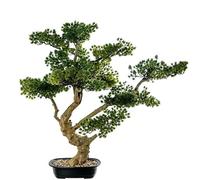 DRW Pianta artificiale di un bonsai di cipresso in PE e PVC con vaso in verde e marrone, 90 x 50 x 81 cm