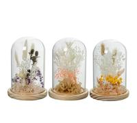 DRW Set di 3 fanali in vetro con base in legno e fiori artificiali in tonalità naturali e morbide, 12 x 12 x 17 cm