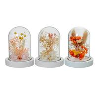 DRW Set di 3 fanali in vetro con base in legno e fiori artificiali in tonalità naturali e morbide, 8,5 x 8,5 x 11 cm