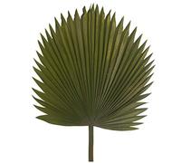 DRW Set di 6 Foglie di Palma Artificiale in Poliestere Verde 117 cm, 117cm