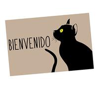 DRW Zerbino in Poliestere e pv Benvenuto 40x60x1 cm, Multi, estandar