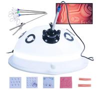 DRXRD Chirurgia Laparoscopico Simulatore Trainer con Endoscopio e 4 Strumenti Chirurgici e 5 Moduli di Addestramento e Sorgente Luminosa Set Laparoscopia per Didattica ed Esercitazioni 0°