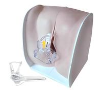 DRXRD Modello di formazione IUD dell'utero femminile a grandezza naturale Modello genitale interno femminile con struttura anatomica accurata per osservare i principi di funzionamento degli organi
