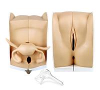 DRXRD Modello ginecologico femminile a grandezza naturale del manichino, modello umano IUD modello di addestramento con struttura anatomica accurata per comprendere la struttura e la funzione del