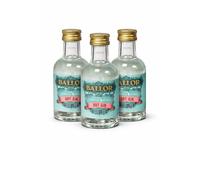 Dry Gin 5 in Secco Artigianale Italiano - Botaniche Selezionate - Equilibrato, Aromatico e Fresco - Formato Mignon da Degustazione - Made in Italy (3bt)