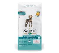 Dry Line Large Puppy Mantenimento con Pollo - 12KG