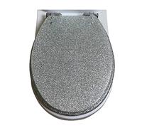 DRYFAL Tavoletta Water Universale in Resina, Glitterato Sedile WC, Copriwater Universali con Cerniere Cromate Antiruggine, Copriwater Universale Forma Ovale, ASSE WC 36 * 42cm,Argento