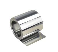 DryiC Foglio di Lamina Sottile in Acciaio Inox Lastra in Lamiera d'Acciaio Inox Fogli in Acciaio Inox per La Lavorazione dei Pezzi, Larghezza 100 mm,Thickness:0.05mm