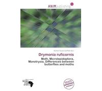 Drymonia ruficornis: Moth, Microlepidoptera, Monotrysia, Differences between butterflies and moths