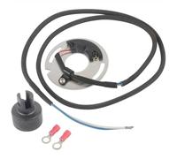 DS6 1 set di bobine a doppia accensione compatibile con il sistema di accensione elettronica adatta 1970 al 1998