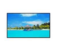 DSeenLeap Cornice Digitale HD da 32 Pollici, Display IPS, Macchina pubblicitaria montata a Parete, con 32 GB di Spazio di archiviazione, Facile da Usare (Nero)