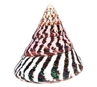 DSFIHJO Conchiglie Decorazione for Acquario paesaggistico con Conchiglie Grandi a Forma di Torre in Stile mediterraneo