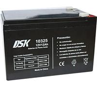 DSK Batteria al piombo 12V 12Ah, ideale per allarmi domestici, giocattoli elettrici, recinzioni, bilance, nera 10325