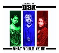 Dsk - Best Of-What Would We Do