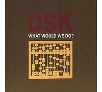 Dsk - What Would We Do