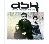 Dsk - What Would We Do