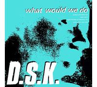 Dsk - What Would We Do (Junior Boy'S Own Mixes)