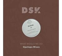 Dsk - What Would We Do - Opolopo Mixes