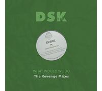 Dsk - What Would We Do - The Revenge Mixes