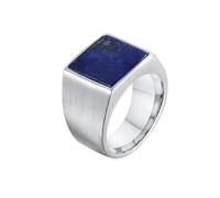 Dsnyu Anello Uomo Elegante, Anello di Fidanzamento in Acciaio Inox Sigillo Quadrato con Lapislazzuli Blu Scuro Argento Gioielli Misura 15