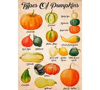 DSSWAK WJe-A01 - Targa in metallo vintage con scritta "Types Of Pumpkin Pumpkin Knowledge", decorazione artistica da parete, regalo divertente per casa, cucina, garage, bagno, fattoria, giardino, bar