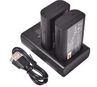 DSTE 2 batterie di ricambio DMW-BLJ31 + caricatore USB doppio con display LCD compatibile con DMW-BLJ31e e Panasonic LUMIX S1, LUMIX S1R, LUMIX S1H, DMW-BGS1R