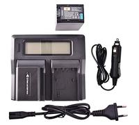 DSTE 2-Pack NP-FV100 batteria + LCD Dual Caricabatterie Compatibile per Sony DCR-SR21, DCR-SR68, DCR-SR88, DCR-SX15, DCR-SX21, DCR-SX45, DCR-SX63, DCR-SX65, DCR-SX83, DCR-SX85