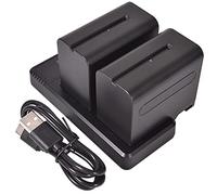 DSTE (2 pezzi) NP-F970 NP-F930 NP-F950 NP-F960 batteria di ricambio + ricarica rapida Dual LCD caricatore compatibile con Sony Sony CCD-TR516